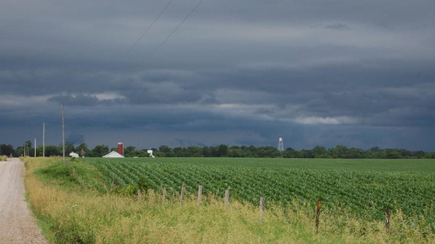 Good-Bye 2020: A Year with No One Clear View for Ag Retailers