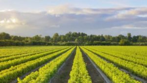 ARA Supports NEPA Reforms to Speed Up Rural Infrastructure Projects