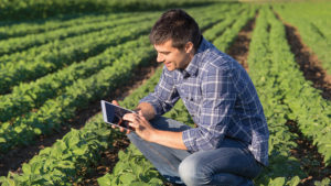E-Commerce Adds Choices, Competition and Complexity to Crop Input Sector