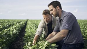 Corteva, Brevant, and the Pivot to Retail: A Potential Boost For Seed Sales?