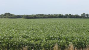 How One Ohio Farmer Is Leveraging Technology to Enhance Nutrient Management