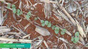 Ohio State-Integrated Ag Services Partnership Takes Field Scouting to the Next Level