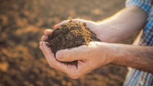 GROWMARK, Indigo Ag Join Forces to Expand Farmers’ Access to Carbon Farming Opportunity