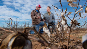 Are you giving farmers the RIGHT advice?