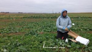 Cover Crop Mixtures Must be ‘Farm-Tuned’ to Provide Maximum Ecosystem Services