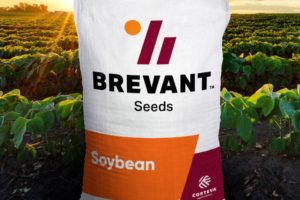 Brevant Seeds