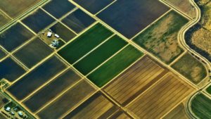 Satshot, Ninja Ag Collaborate to Deliver Added Value to NDVI Imagery