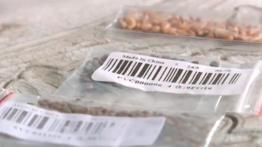 2020’s Latest Quirk – Mystery Seeds from China
