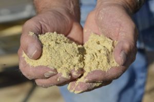 Soybean Feed Value Rankings