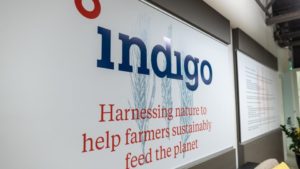 Indigo Ag Appoints Ron Hovsepian as CEO