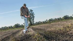 What Is the Best Soil Test Option for Phosphorus?