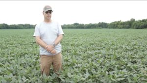 Channel Introduces 20 New XtendFlex Soybean Products