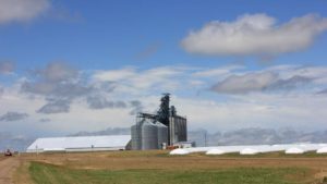 Grain and Farm Supply Cooperatives Have Options for Managing Skyrocketing Insurance Costs