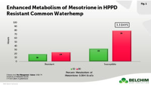 Improve Speed of Kill of Resistant Weeds Like Palmer Amaranth and Common Waterhemp.