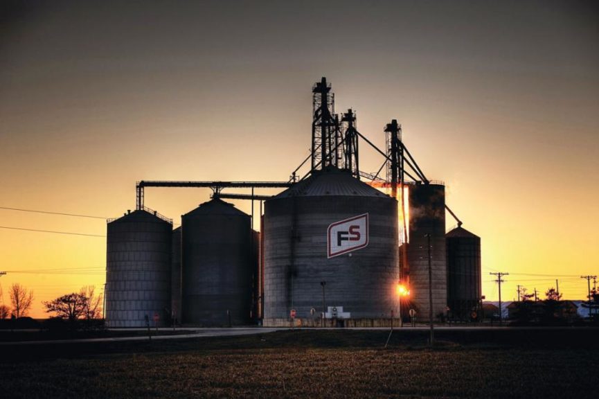 GROWMARK