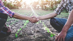 Customer Service in 2021: Why We Are Not Returning to Normal in Ag Retail