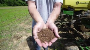 Micronutrients Have a Macro Impact