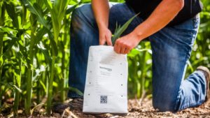 Finding the Right Nutrient Balance is Key to Helping Crops Meet Their Yield Potential