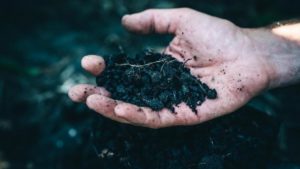 The Mosaic Company, AgBiome Collaborate on Biological Alternatives to Enhance Soil Health