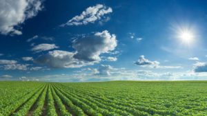 The 2022 Season View from the Farmgate: Happy with High Commodity Prices, Worried About High Input Prices