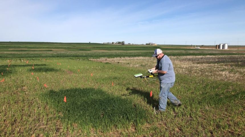 Data, Technology, and In-Season Nutrient Management
