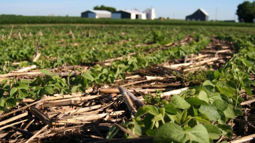 Carbon Markets, Sustainability, Regenerative Farming: Finding a Path Forward