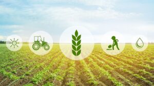 Data is the Key to Achieving Future Sustainability Goals