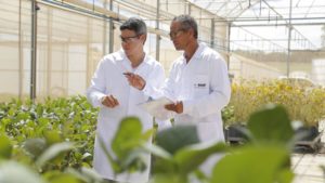 BASF Strengthens Innovation Pipeline for Sustainable Agriculture