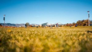Here Are the Best Agriculture Colleges on the Planet in 2021