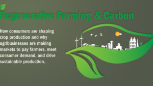 Panel Discussion: How Regenerative Agriculture and Carbon Is Changing Production Systems