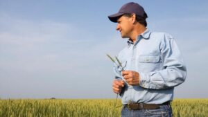 Farmers Are Key to Global Supply Chain Resilience