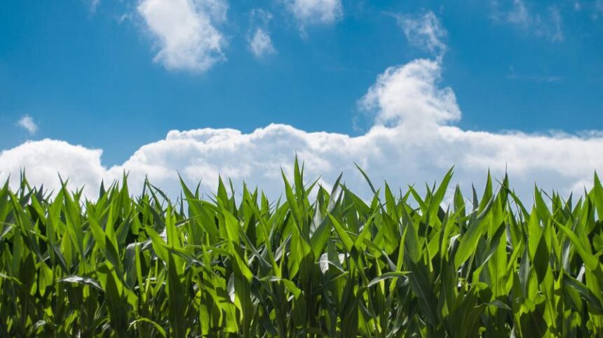 Corteva Agriscience Signs Agreement with Andermatt to Provide U.S. Farmers New Biocontrol Solutions