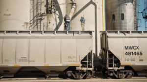 Bushel Fulfillment Launches to Improve Data Visibility to Grain Companies