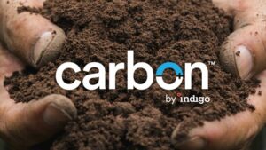 Indigo Ag Issued Second Carbon Crop