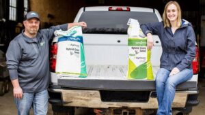 How Pearl City Elevator, NK Seeds Are Teaming Up to Fight Corn Rootworm