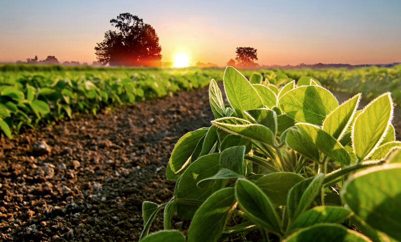 Precision Laboratories and Direct Enterprises Join Forces to Bring Innovative Seed-Applied Technologies to More Farmers
