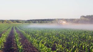 Southwestern Fertilizer Conference 2022: Plenty of Mixed Opinions for Fall Application Season