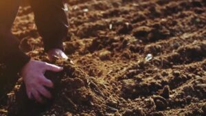 Take Back Control of Record Fertilizer Costs with Biologicals