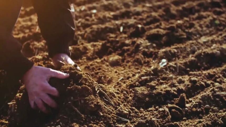 For the Sake of the Soil: How the Perception of Biostimulants Has Changed