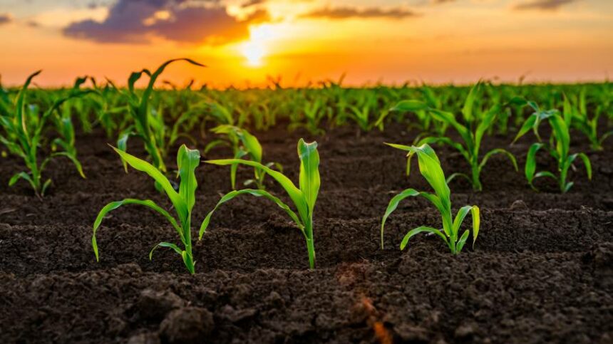 Benchmark Study on Farmer Perceptions of Agricultural Biologicals Now Available