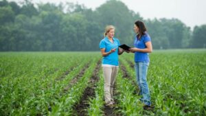 How Ag Retailers Can Help Growers Maneuver Through the MRL Question