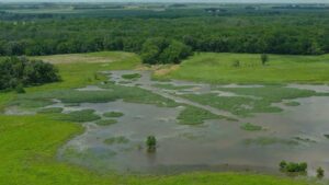 Illinois Nutrient Runoff Reduction Strategy Has Mixed Results