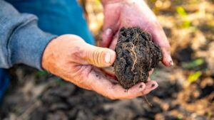 Sustainability and Carbon Panel: Ag Retailers Share Three Key Takeaways