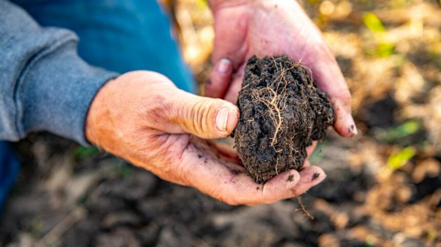 Sustainability and Carbon Panel: Ag Retailers Share Three Key Takeaways