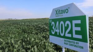 Xitavo Soybean Seed Ranks Highly in 2023 Yield Trials