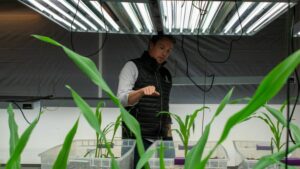 How Aqua-Yield’s Nanoliquid Technology Is Meeting the Needs of the Crop Protection Market