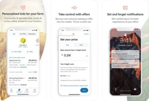 Market+ by Indigo