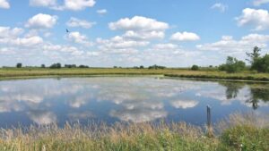 Fertilizer Management in a Drought: ISU Research Suggests Reducing Fall Fertilizer Applications
