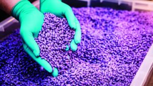 Seed Treatments Among ‘Fastest Growing Segments’ in Crop Protection Market
