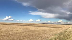 Measuring Soil Health Easily and Reliably